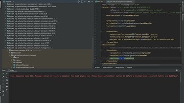 Selenium Manager Tutorial | Selenium 4