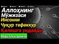 АБДУЛЛОҲ ДОМЛА ЭСКИ МАРУЗА ЛЕКН ТИЛЛОЛАРДАН ҚИММАТЛИ ИЛИМ ABDULLOH DOMLA