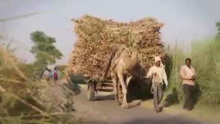 RURAL ELECTRIFICATION CORPORATION LIMITED SHORT FILM