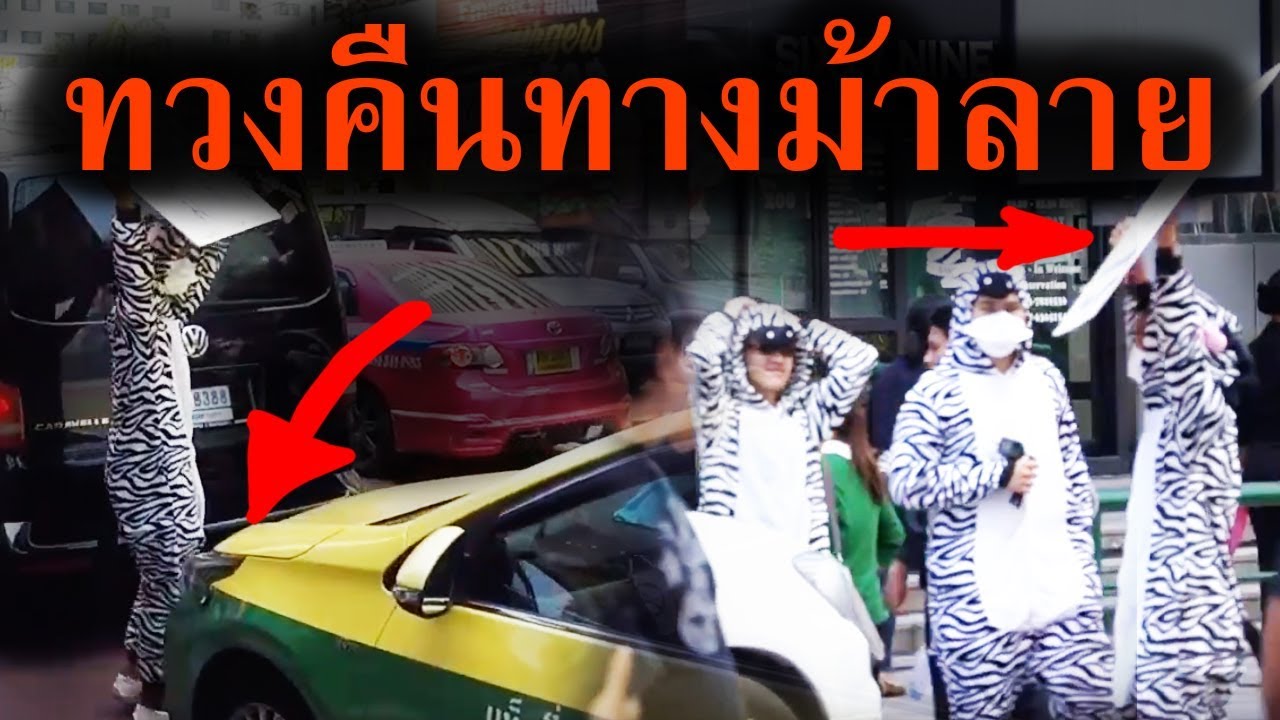 ทวงคืนทางม้าลาย บนถนนที่ข้ามยากที่สุดในไทย!!! [สะท้อนสังคม] || DOM