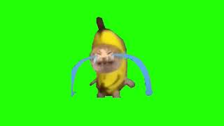 Banana cat crying green screen meme template