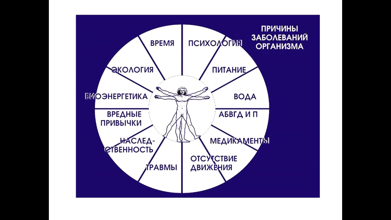 Функции и причины заболеваний