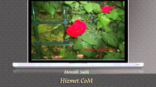 Muhammed Ali - Şahe Zamane