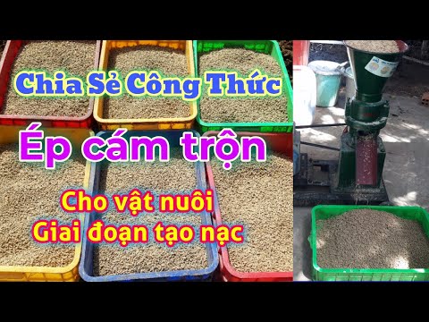 Video TỰ SẢN XUẤT CÁM VIÊN| GIẢI PHÁP GIÚP TIẾT KIỆM CHI PHÍ... - youtube