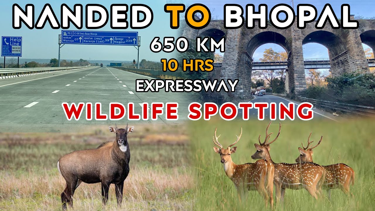 Nanded Mh to Bhopal MP | Wildlife Spotting | Beautiful Bhopal City MP | RoadTrip 650 km in 10 hrs