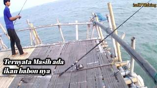 Ternyata Bagan Ini Masih Ada Ikan Babon Nya‼️ Bagan Tanjung Kait