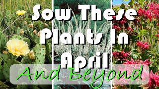 15 Native Plants to Grow from Seed Now - NO Cold Stratification Needed!