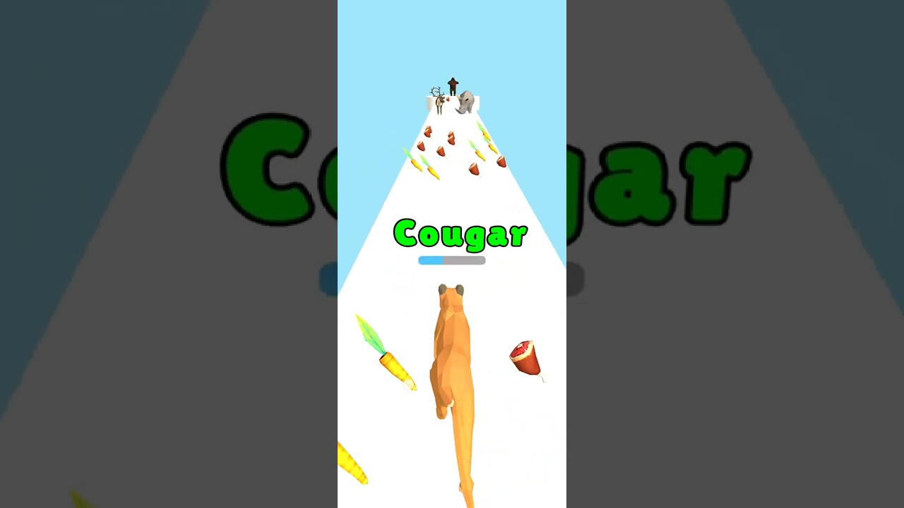 cat evolution game