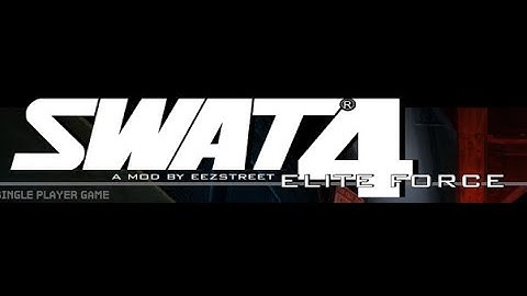 SWAT 4 AND SEF MOD SETUP