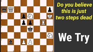 Chess Puzzles 2 Checkmate moves are very beautiful screenshot 4