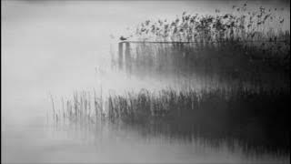 Ryan Davis - Brun (Matthias Meyer Remix)