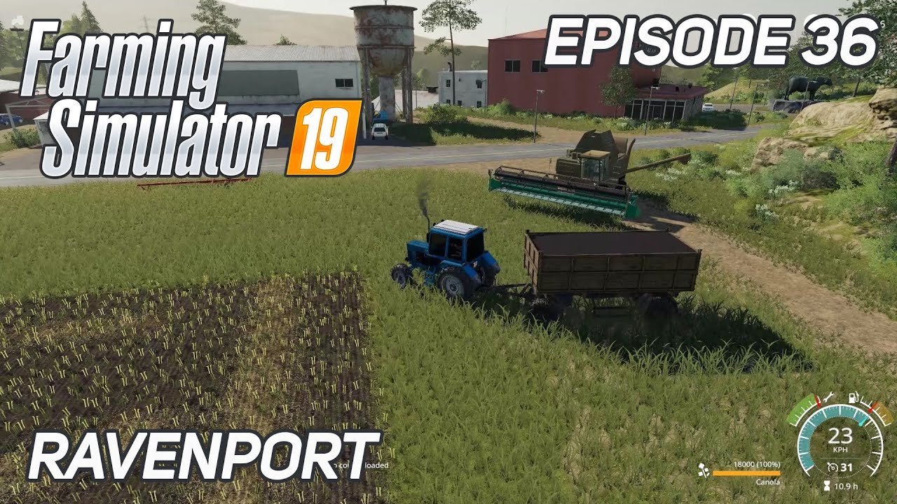 what is canola in farming simulator 14
