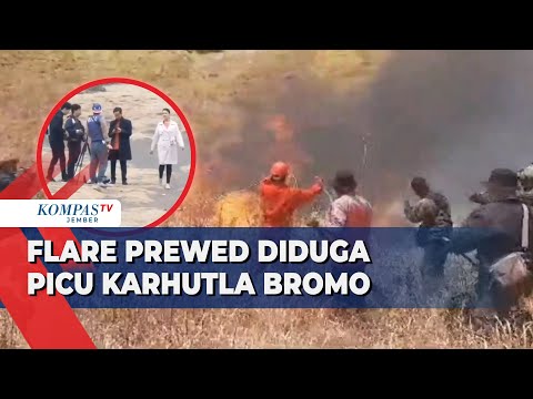 Flare Prewedding Diduga Picu Kebakaran Lahan di Bromo