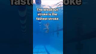 The Breakout Stroke Is The Fastest Stroke