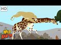 Wildlife Adventure Quiz