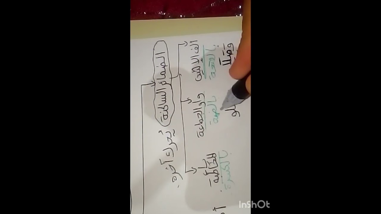 درس إسناد الفعل المعتل المثال مقياس الصرف العربي السداسي الثاني ens عربية ابتدائي #مدرسة عليا