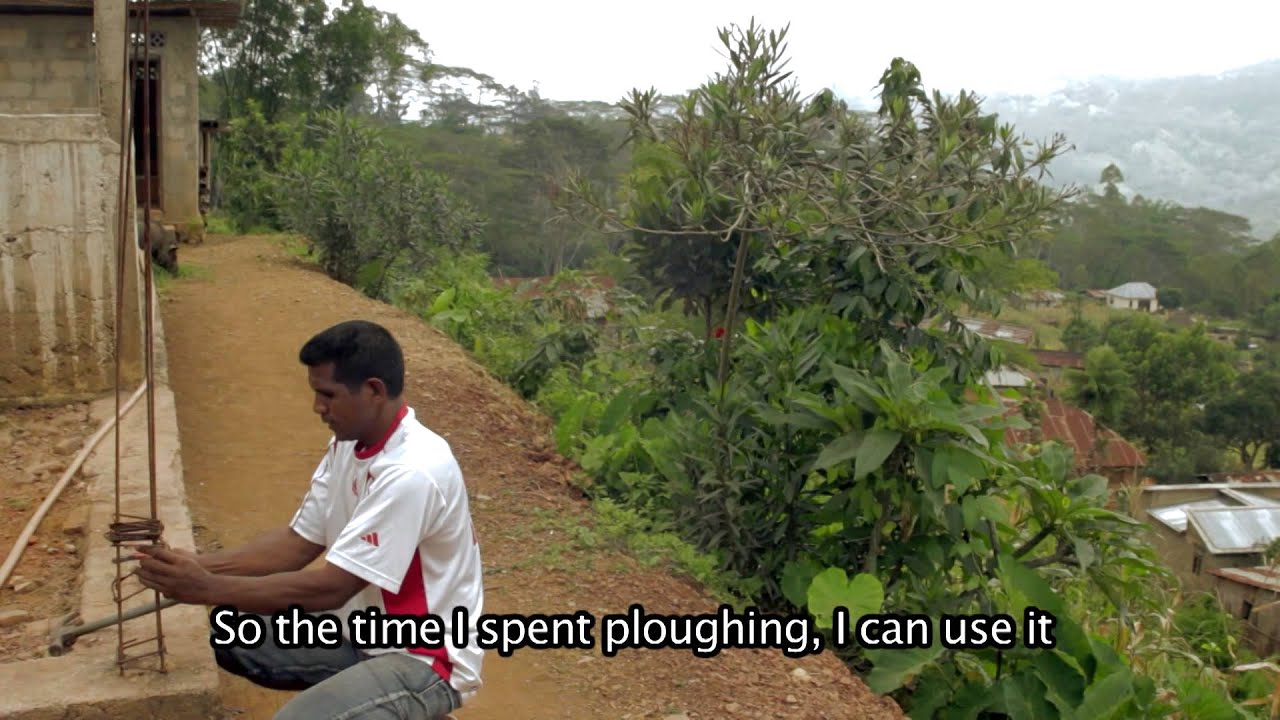 Conservation Agriculture versus Traditional agriculture techniques.