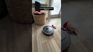 @roborockglobal Qrevo S Pro has definitely passed the test! Prime Day putting it under $500!