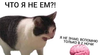 Мемозг. ру ( 2 часть)