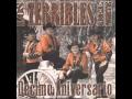 Los Terribles del Norte - El Caballo Robado