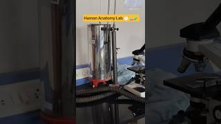 human Anatomy Lab 🧫🧪🥼 #like #music #new #tranding #viral #lab #minivlog #vlogger