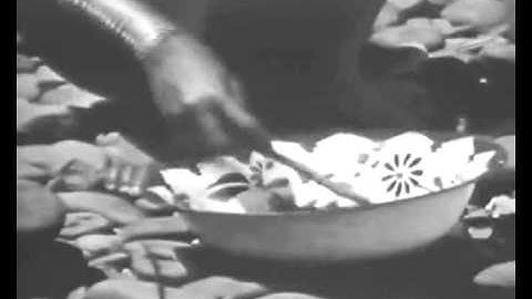 The Borneo Story - The Dayaks
