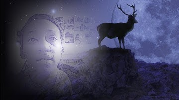 Lotusocean: "ATTENTION" Plog by Prashant Trivedi