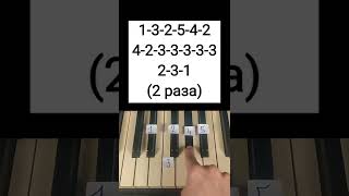 HOW TO PLAY THIS SONG ON THE PIANO!? #10 | PIANO BY NUMBERS #shorts