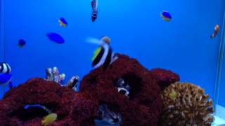 IMG 3347 IMG 3347