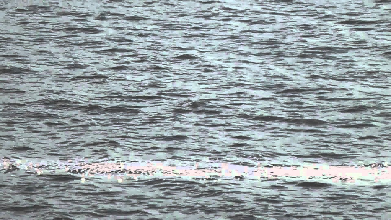 Corexit in Escambia Bay June 23, 2012