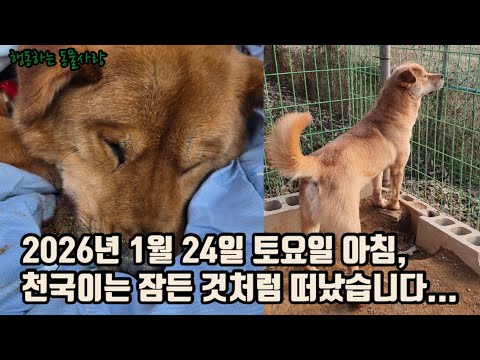 잠들 듯 떠난 아이… 천국이에게 인사해주세요...
