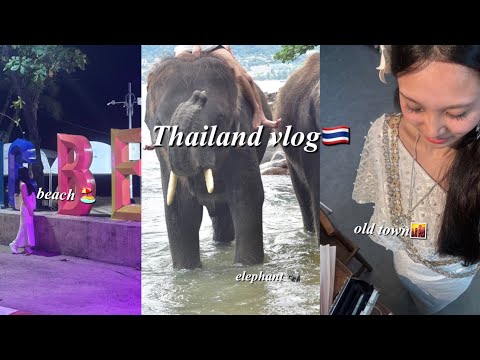 November Phuket Vlog 🇹🇭11月プーケットブイログ🇹🇭 | Eating, Exploring & cute Elephants 🐘✨