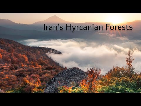 Iran’s Hyrcanian Forests in Autumn ,UNESCO World Heritage