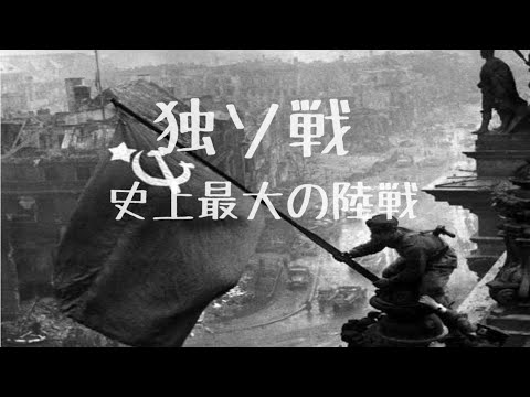独ソ戦MAD/2WEI - Survivor