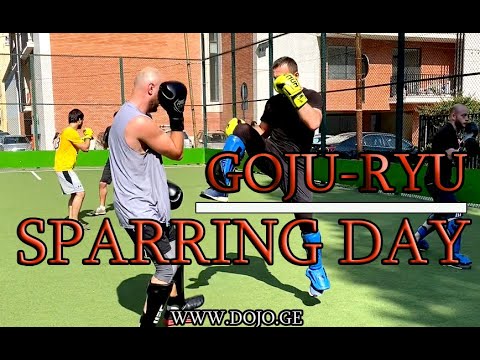 Sparring Day - Goju-Ryu / სპარინგის დღე - გოჯუ-რიუ