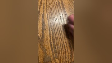 Godzilla Raids Again (1955) Review