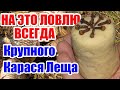 Насадка на Крупного Карася Леща по холодной воде.Насадка для Карася