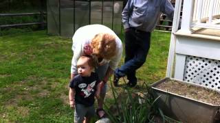 Jack in Grammys Garden