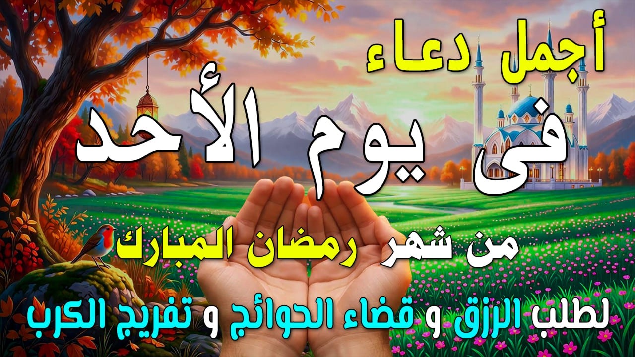 دعاء فى يوم الجمعة المستجاب دعاء في يوم 16 من شهر رمضان للرزق والشفاء العاجل وقضاء الحوائج 🤲(4k)