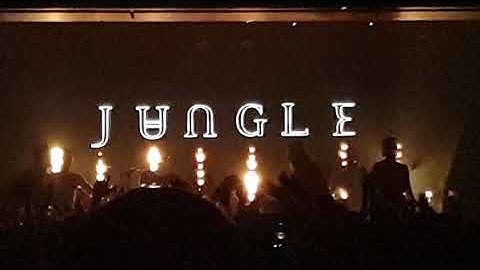 Jungle at the Espy, St Kilda #electric
