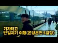 온양온천역 5일장 반일치기 기차여행