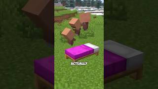 Every Game Baby Villagers Play In Minecraft