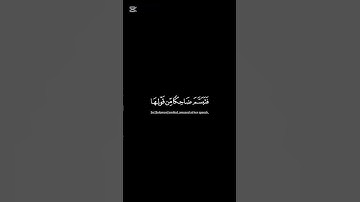 (فتبسَّمَ ضاحِكًا من قولها)ايات من سورة النمل #صلوا_على_النبي_صلى_الله_عليه_واله_وصحبه_وسلم