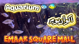 من Üsküdar إلى Emaar Square Mall 🛍️ جولة بالمول والأكواريوم 🌊 | Üsküdar to Emaar Mall Tour د