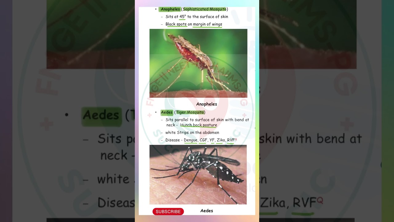 PSM High Yield Topics | Anopheles VS Aedes | Mosquito | FMGE, NEET PG, INICET MCQ’s