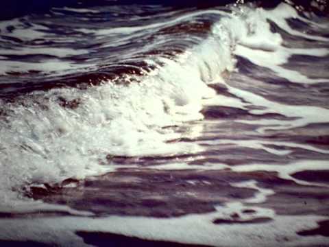 Die Schöpfung - Oratorium von Joseph Haydn