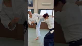 Karate vs Aikido @Shinburenseijyuku