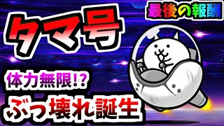 【超獣人権キャラ】 ネコタマ号 (謎のタマゴ:N112 第3形態) 性能紹介　【にゃんこ大戦争】