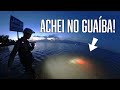 Inacreditável: Achei DENTRO do Guaíba!