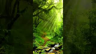 Swarovski Online 70% Discount Store